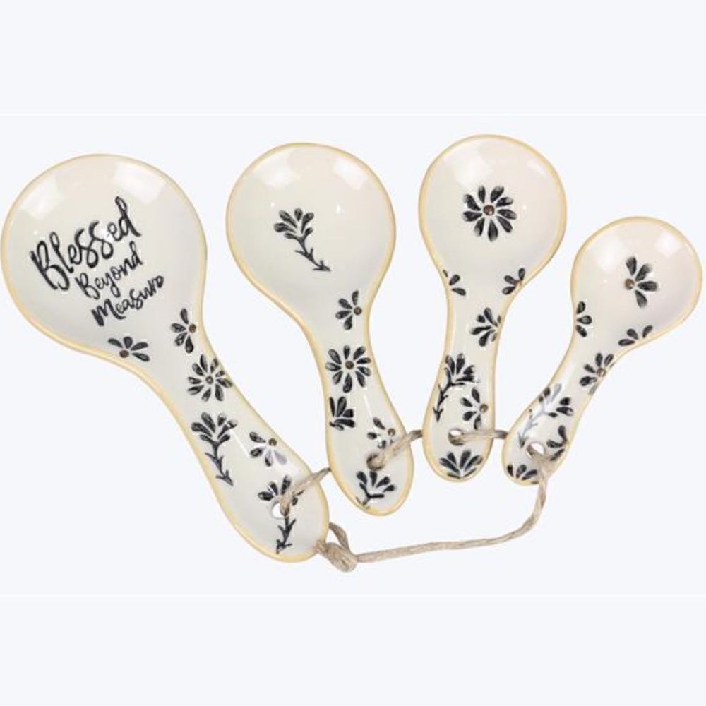 Whimsical Farmhouse Ceramic Measuring Spoon Set Blessed Cottagecore New
